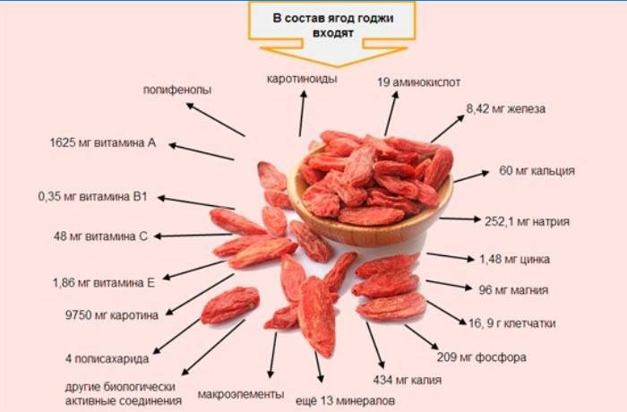 Složení užitečných prvků bobule goji