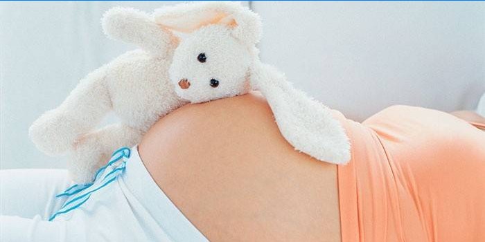 Výhody a kontraindikace brusinek během těhotenství