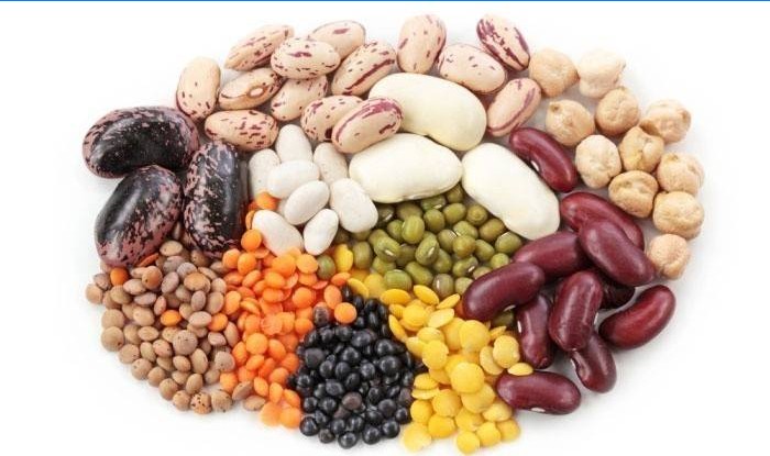 Zdroje rostlinného proteinu