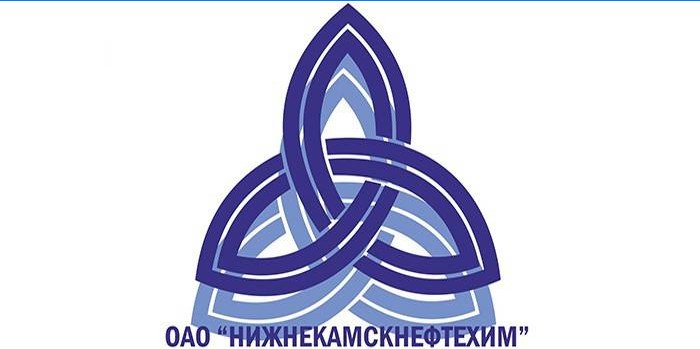Logo společnosti Nizhnekamskneftekhim