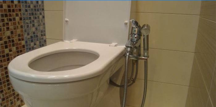 Hygienická sprcha spojená s toaletou