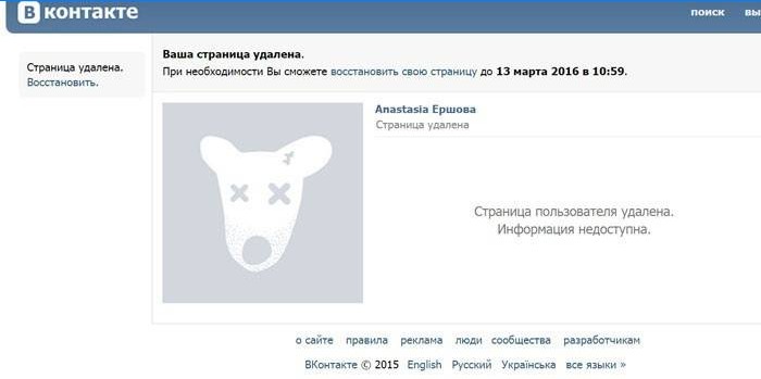 Okno aplikace Vkontakte