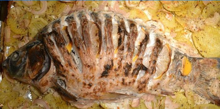 Ryby v zakysané smetaně s bramborami