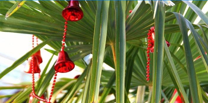 Vánoční strom dekorace na palmové ratolesti