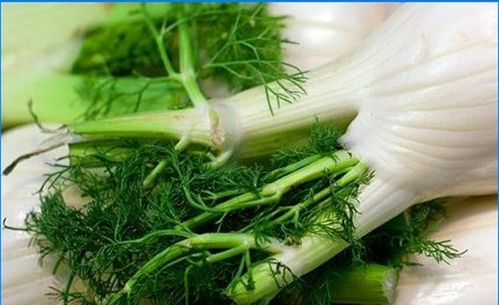 Pěstujeme koření - šalvěj, rozmarýn a další aromatické rostliny
