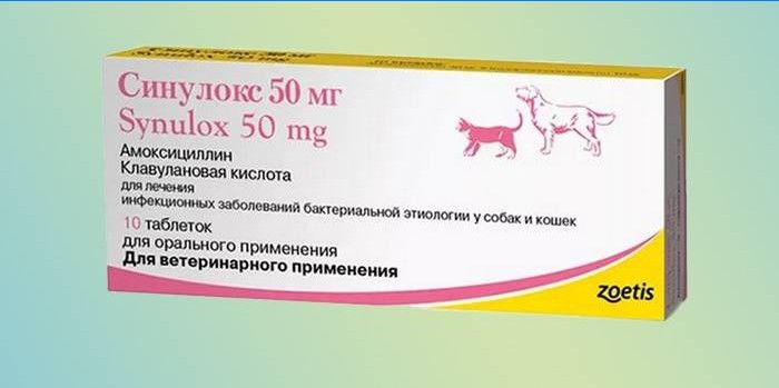 Sinulox tablety v balení