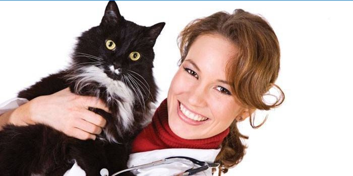 Veterinární lékař drží v náručí kočku