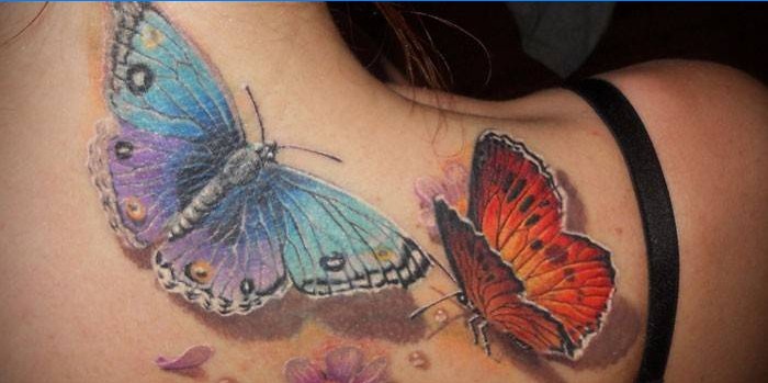 Motýl tetování