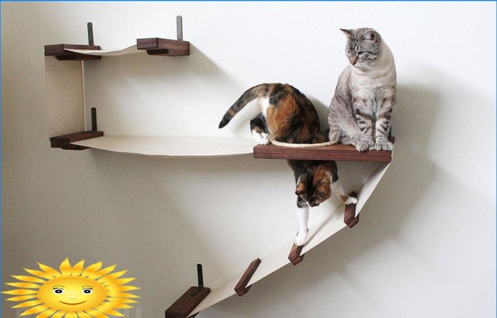 DIY domy a doplňky pro kočky: nápady a fotografie