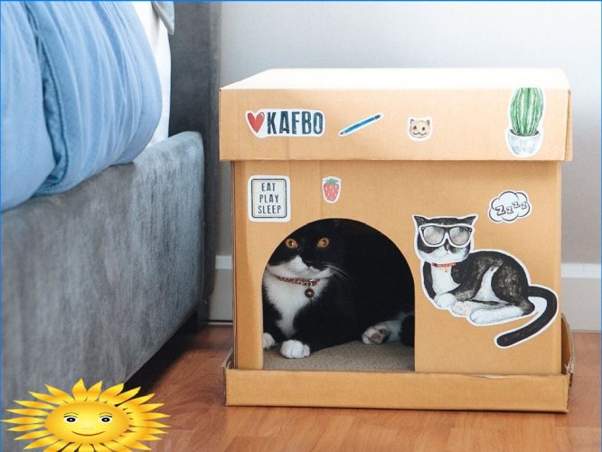 Kočičí dům z krabice