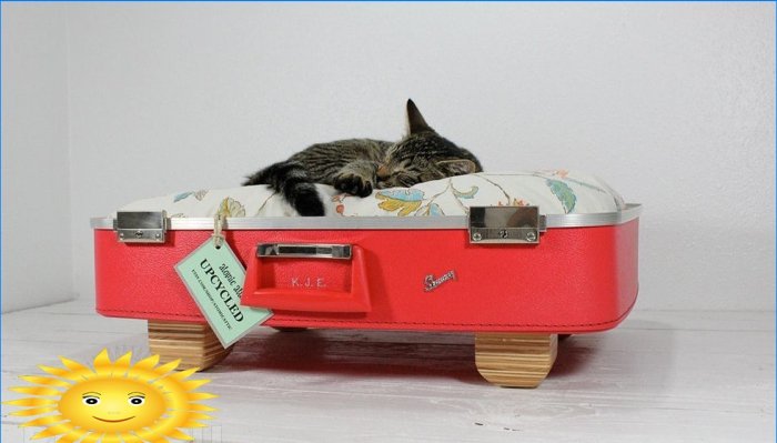 DIY domy a doplňky pro kočky: nápady a fotografie