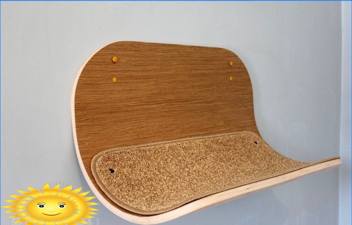 DIY domy a doplňky pro kočky: nápady a fotografie