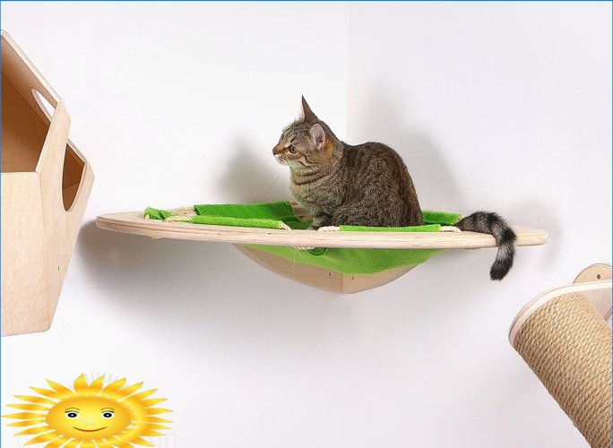 DIY domy a doplňky pro kočky: nápady a fotografie