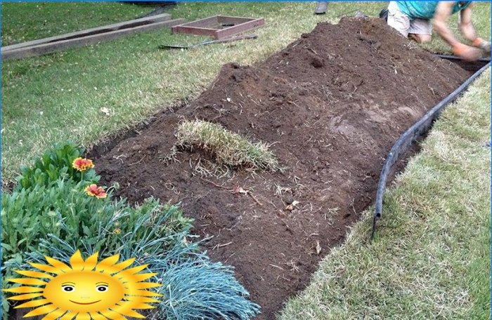 Záhon s vlastními rukama. Tipy pro výběr rostlin a praktický průvodce nastavením