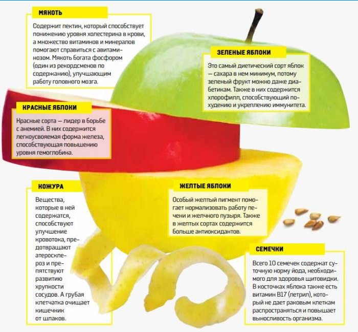 Výhody jablek různých odrůd