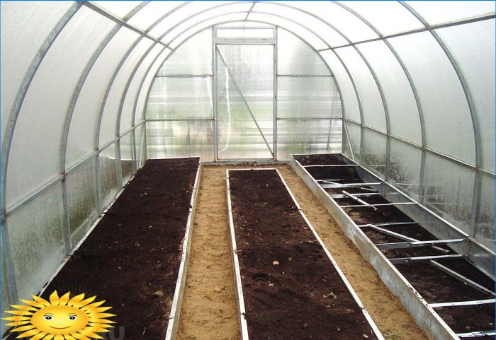Jak připravit skleník na jarní výsadbu