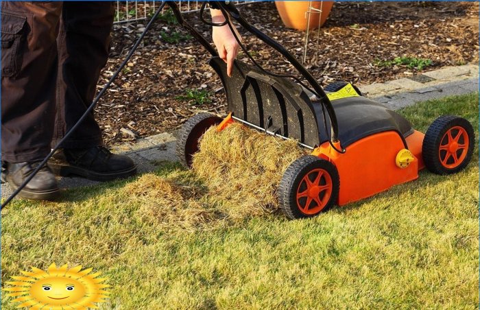 Jak správně rozřezat váš trávník
