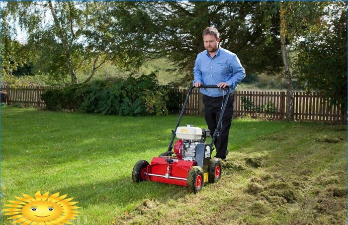 Jak správně rozřezat váš trávník