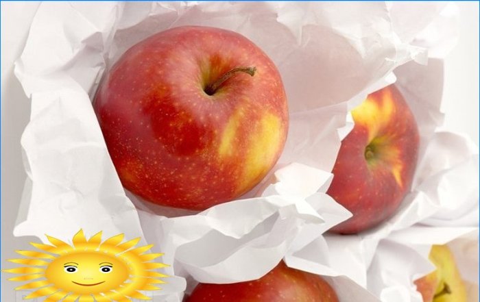 Jak správně sklízet a uchovávat jablka