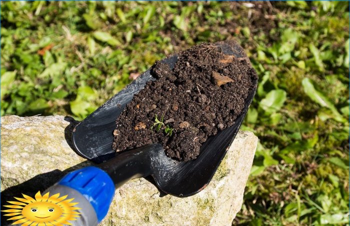 Jak zlepšit strukturu půdy a zvýšit její úrodnost