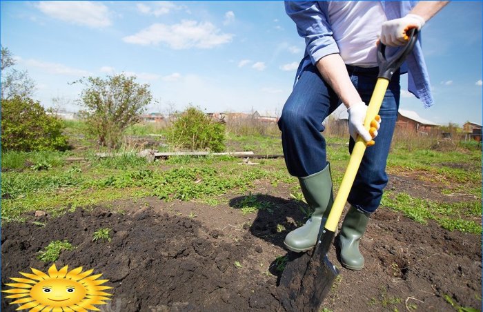 Jak zlepšit strukturu půdy a zvýšit její úrodnost