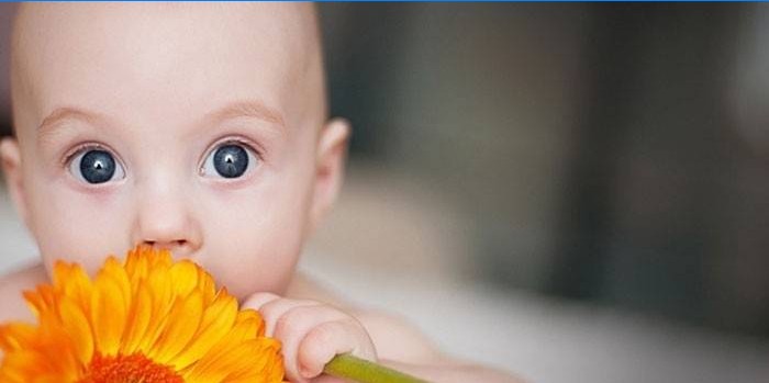Dítě s květinou