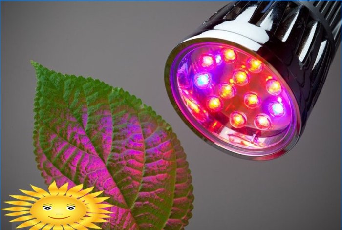 Lampy pro sazenice rostlin: přehled, tipy pro výběr