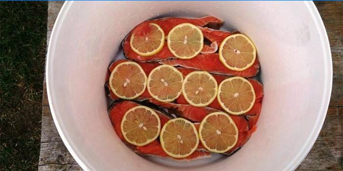 Červené ryby pod marinádou s citronem