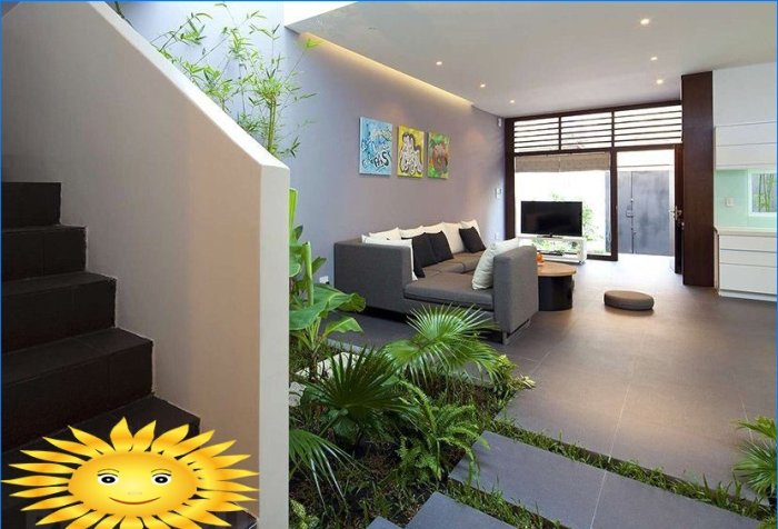 Rostliny v domě. Phytodesign jako způsob, jak oživit interiér