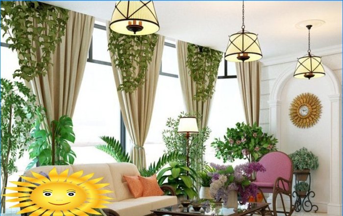 Rostliny v domě. Phytodesign jako způsob, jak oživit interiér
