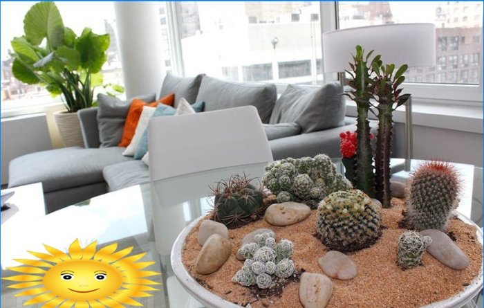 Rostliny v domě. Phytodesign jako způsob, jak oživit interiér