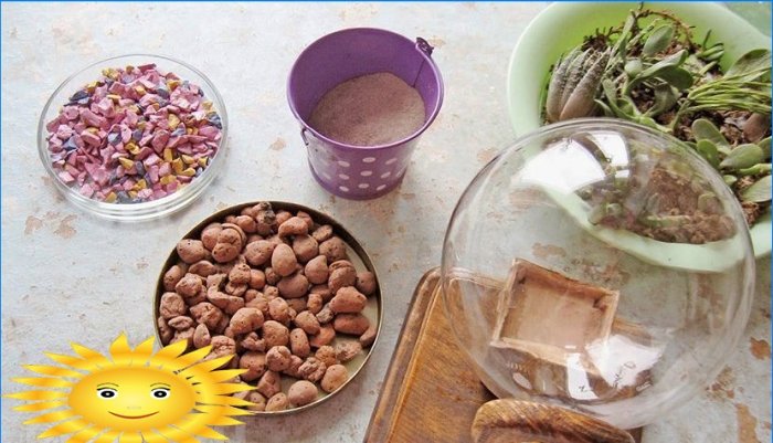 Rostliny v domě. Phytodesign jako způsob, jak oživit interiér