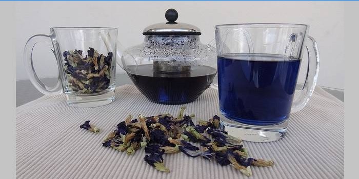 Vaří modrý čaj s šálkem a konvici
