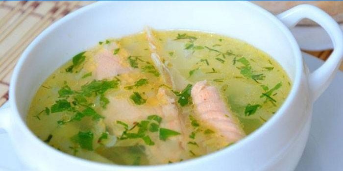 Pstruh rybí polévka v talíři