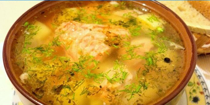 Pstruh rybí polévka s proso v talíři