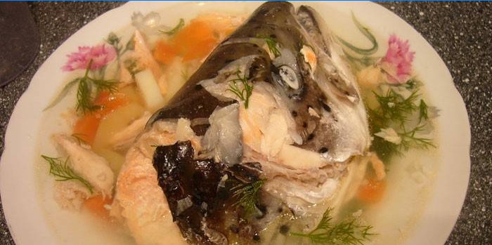 Lososová rybí polévka v talíři