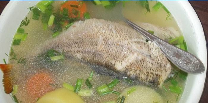 Zander a okoun ryby v talíři