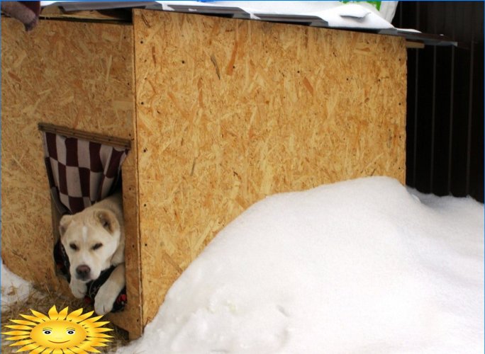 Zimní dům pro psy