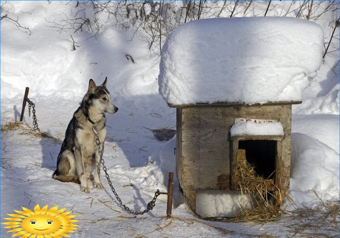 Zimní dům pro psy
