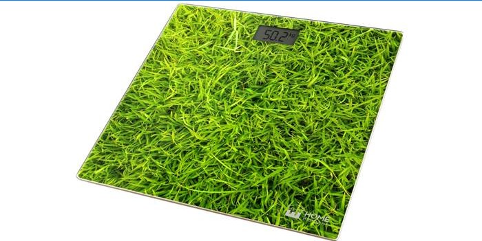 Grass Model by Home Element
