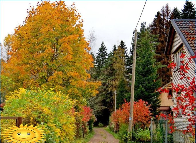 Podzim v zemi: výběr fotografií pro náladu