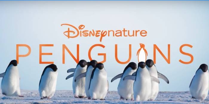 Disneynature tučňáci