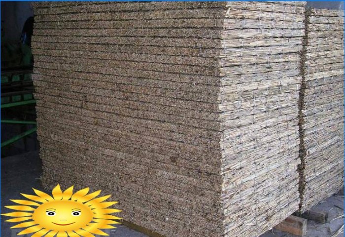 Střecha Reed: vlastnosti materiálu a střešní krytiny
