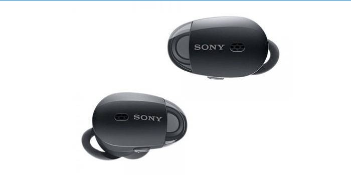 Sony In-Channel WF-1000x