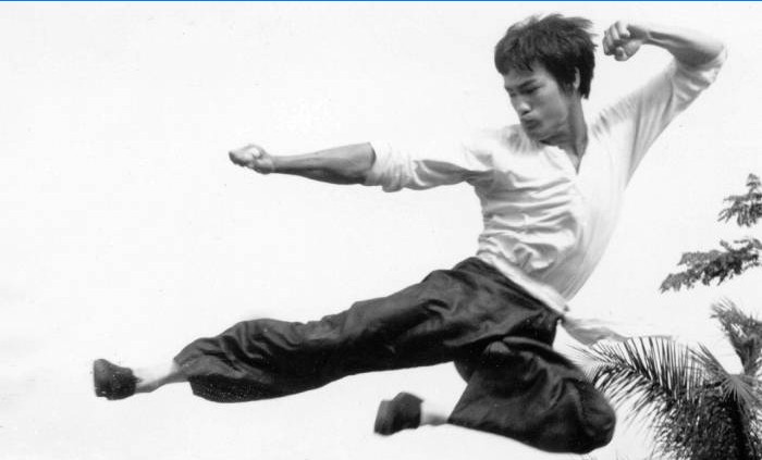 Jeet Kune-Do Bruce Lee