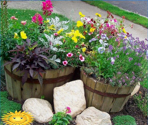 Zahradní dekorace s kvetoucí rostliny v nádobách a květináčích