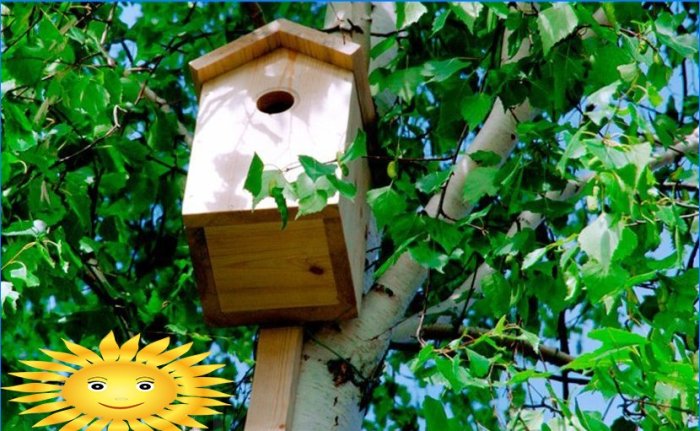 Birdhouse pro špačíky