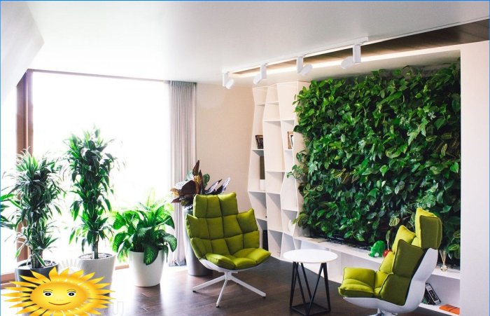 Eko zeď - vertikální zahrada v bytě