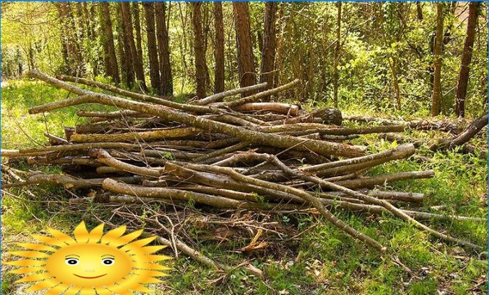 Jak řezat strom bez porušení zákona