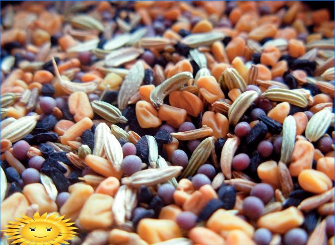 Jak si vybrat semena v sazenicích